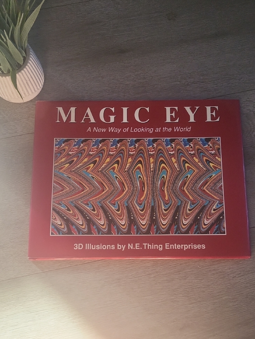 Magic Eye 3D Illusions Book - Red Cover